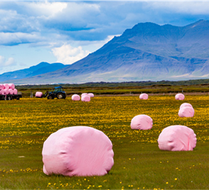 Agriculture Industries and Applications