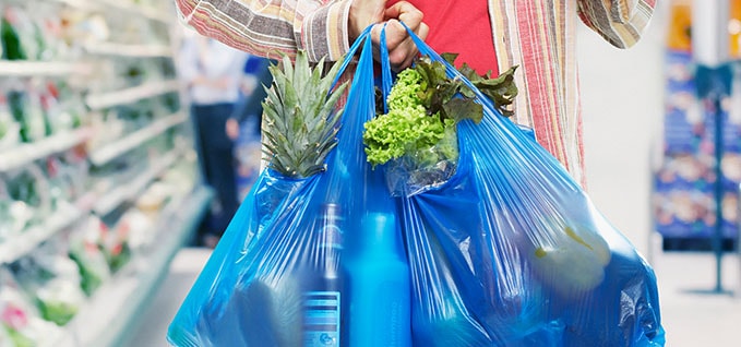 Grocery Bags filled with food