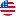 Icon flag USA