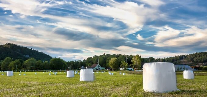 cast silage stretch image